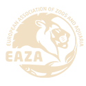 Associates Eaza