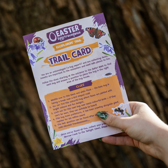 girl holding Explorers Trail card with bug nails at West Midlands Safari Park