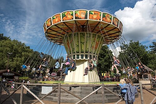 Jungle Swings