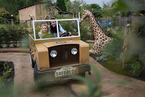 Jungle Jeeps