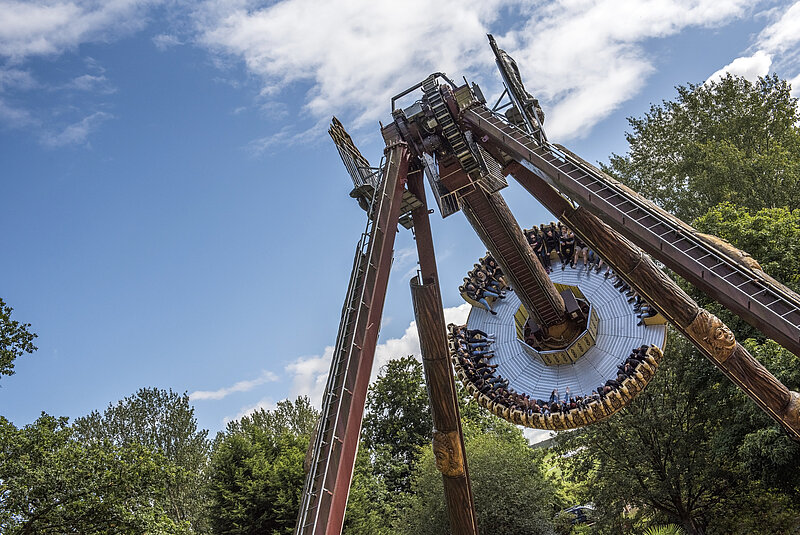 Ticket & Ride Wristband