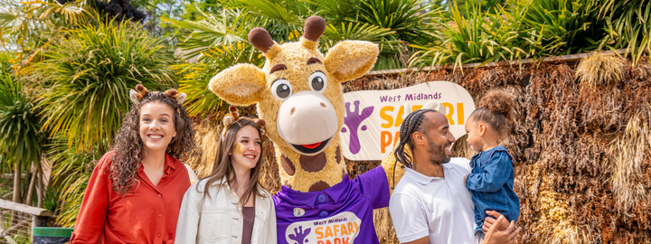 Giraffe Jamboree
