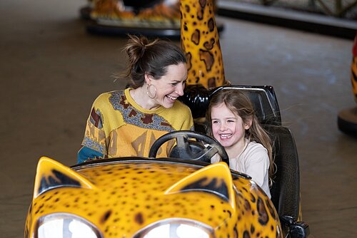 Jungle Cat Dodgems