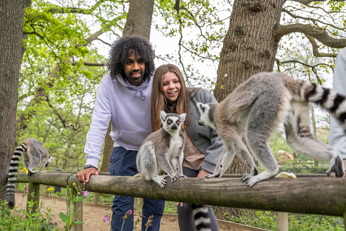 Save Over 30% Online