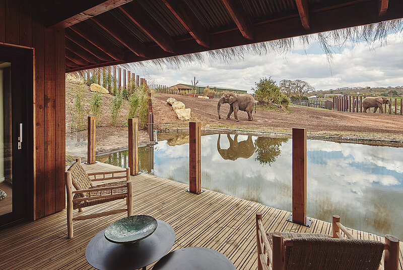 Elephant Safari Lodges