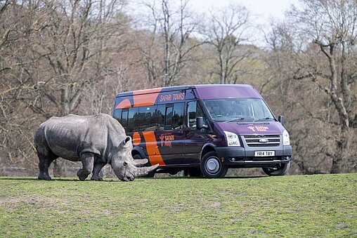 rhino seen during guided tour from mini bus at West Midlands Safari Park