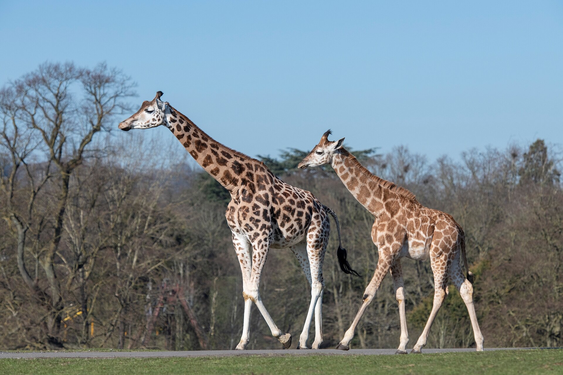 African Walking Trail