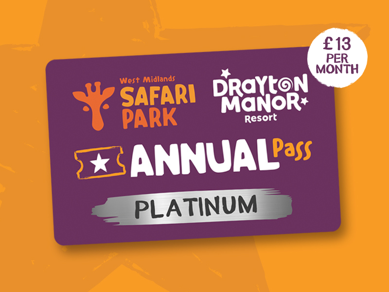 Platinum Pass