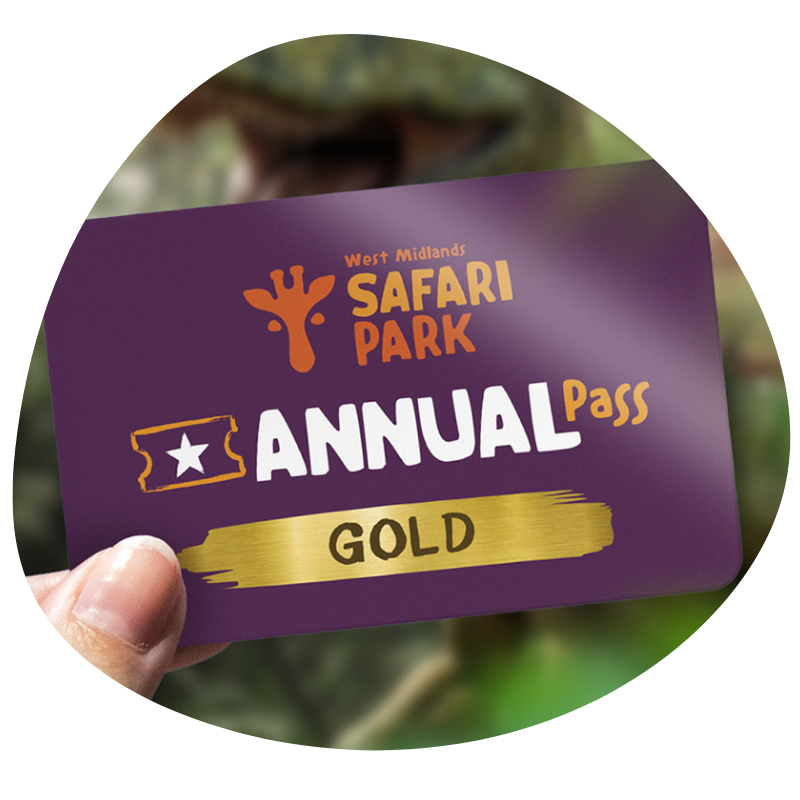 gold annual pass at jurassic june at west midlands safari park