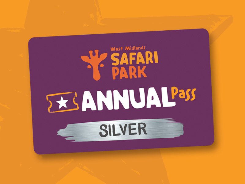 Silver Pass